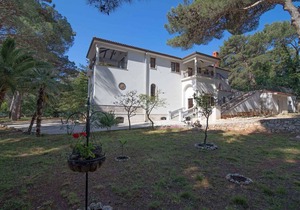43 m² Apartment ∙ 1 bedroom ∙ 4 guests