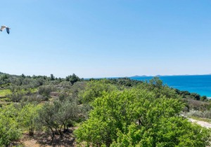 45 m² Apartment ∙ 1 bedroom ∙ 2 guests