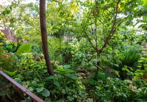 45 m² Apartment ∙ 1 bedroom ∙ 4 guests