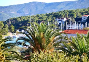 54 m² Apartment ∙ 2 bedrooms ∙ 5 guests