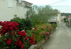 55 m² Apartment ∙ 2 bedrooms ∙ 4 guests