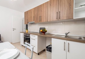 Amazing apartment in Vlasici