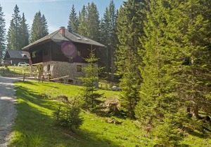 Apartma Medved 910.5 in Goreljek