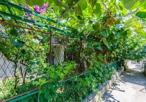 Apartment and Rooms Ivan (45191-A7) - Makarska