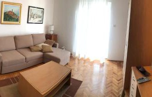 Apartment Branka