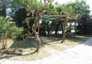 Apartment Grgorinic