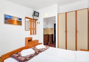 Apartment Igor - 5 m from beach: SA5(2) - Cove Pokrivenik, Island Hvar, Croatia
