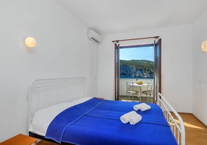Apartment Igor - 5 m from beach: SA1(2+1) - Cove Pokrivenik, Island Hvar, Croatia