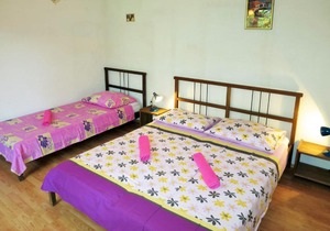 Apartment Jakov - ROJ430