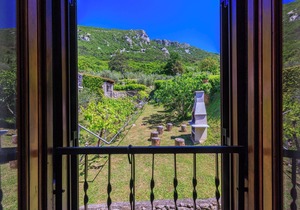 Apartment Josip (70212-A1) - Plomin