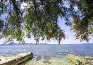 Apartment Lucija in Zadar/Kožino - 3 persons, 1 bedrooms