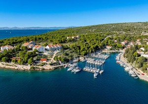 Apartment Milna - with Swimming Pool & Amazing Seaviews, above Bijaka Beach