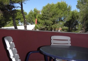 Apartment Monika - 10m from sea: A11(4+2) - Vir, Zadar riviera, Croatia