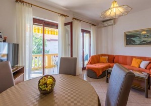 Apartment Nevelina