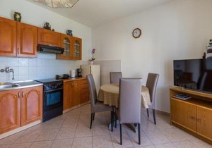 Apartment Nevelina