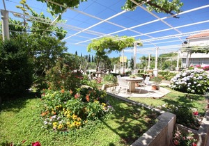 Apartment Nikola 1 - free parking: A8(4) - Mlini, Riviera Dubrovnik, Croatia