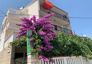 Apartment Per - 80 m from beach: SA2(2+1) - Marina, Riviera Trogir, Croatia