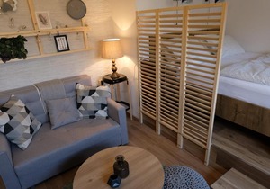Apartment Saraga Centre 1
