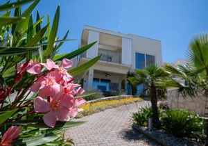 Apartment Summer dreams 2