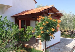 Apartment Susica 8265a
