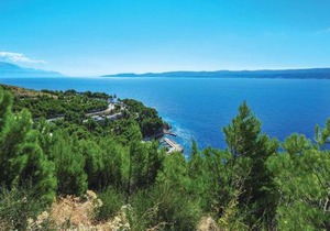 Apartment Vojskovo Ii