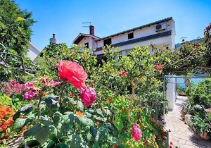Apartments Adela, (1634), Pasadur, hr
