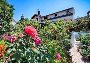 Apartments Adela, (2312), Pasadur, hr