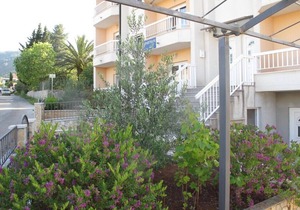 Apartments Antonija, (12173), Stari Grad, hr