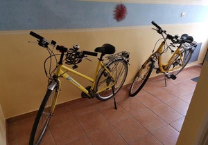 Apartments Bevk Piran in Piran