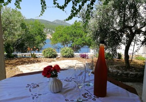 Apartments Boni (69571-A2) - Gdinj - island Hvar