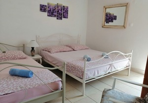 Apartments Boni (69571-A5) - Gdinj - island Hvar