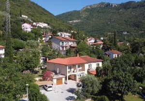 Apartments Branka