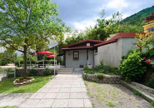 Apartments Branka