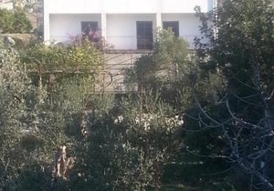 Apartments by the sea Sladjenovici, Dubrovnik - 11531