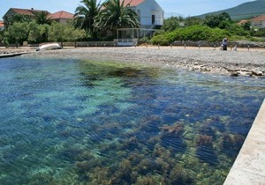 Apartments by the sea Sreser, Peljesac - 4557