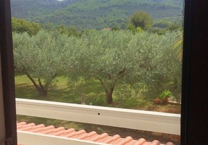 Apartments Draga, (3019), Jelsa, hr