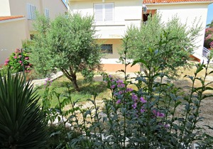 Apartments EDO (20881-A1) - Novalja - island Pag