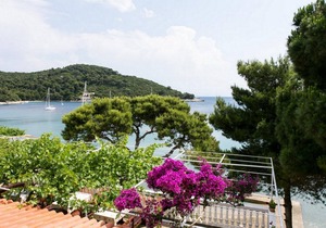 Apartments Franka Saplunara-One-Bedroom Apartment with Terrace and Sea View No1