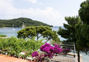 Apartments Franka Saplunara-One-Bedroom Apartment with Terrace and Sea View No 3