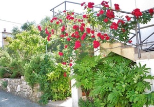 Apartments Josica, (14316), Banjol, hr