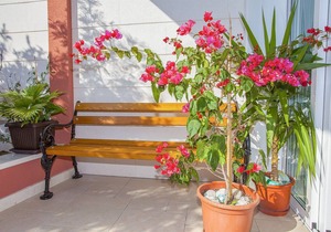 Apartments Kunac (47551-A4) - Podgora