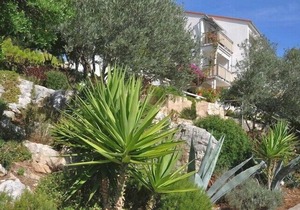 Apartments Ljiljana, (16037), Pasadur, hr