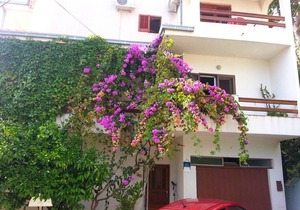 Apartments Nevenka, (14071), Sumpetar, hr