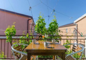 Apartments Sklopina