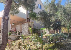 Apartments Vesna (53751-A3) - Skrivena Luka