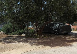 Apartments with parking space Bozava, Dugi otok - 8124