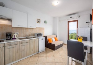 Awesome apartment in Labin with sauna