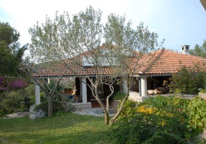 Comfortable and spacious house with terrace and sea view Bobovišća na Moru, Brač (K-14405)