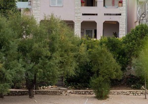 Holiday apartment 10 m from the beach