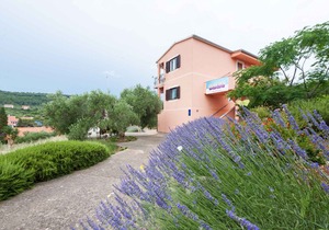 Holiday apartment Adriatic Sea at only 50 m